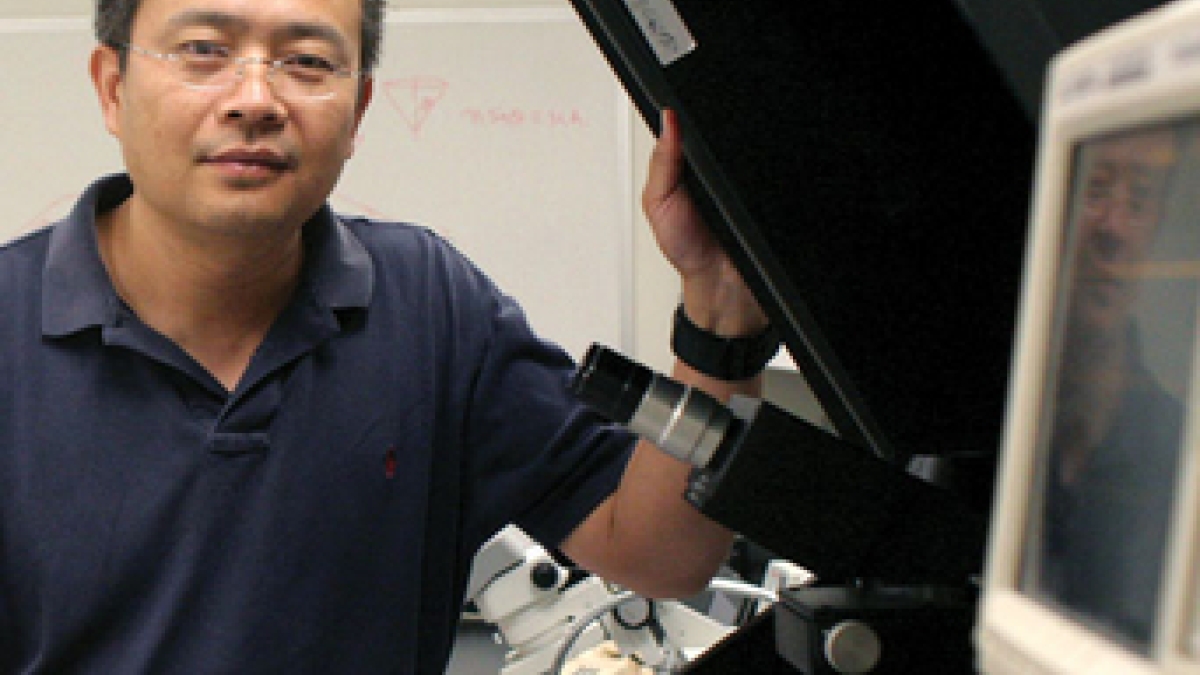 Professor N.J. Tao
