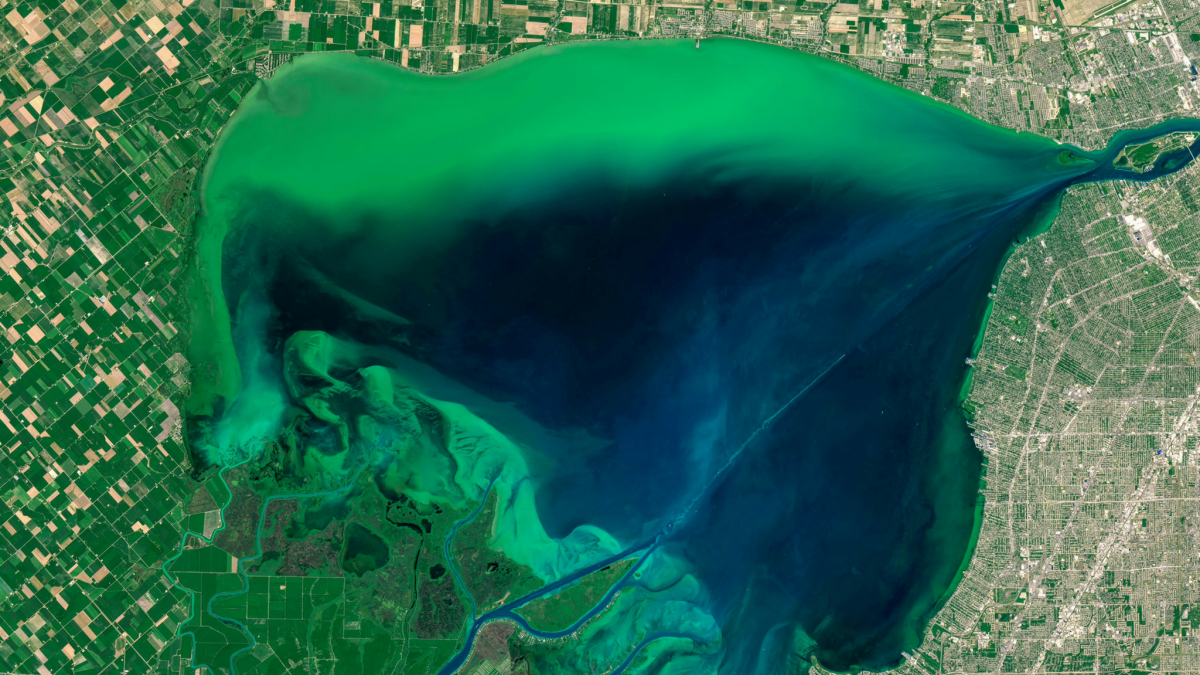 Phosphorus runoff can cause harmful algal blooms that endanger wildlife and business in areas like the Great Lakes region. Image courtesy: NASA. 