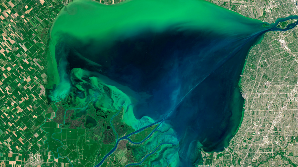 Phosphorus runoff can cause harmful algal blooms that endanger wildlife and business in areas like the Great Lakes region. Image courtesy: NASA. 