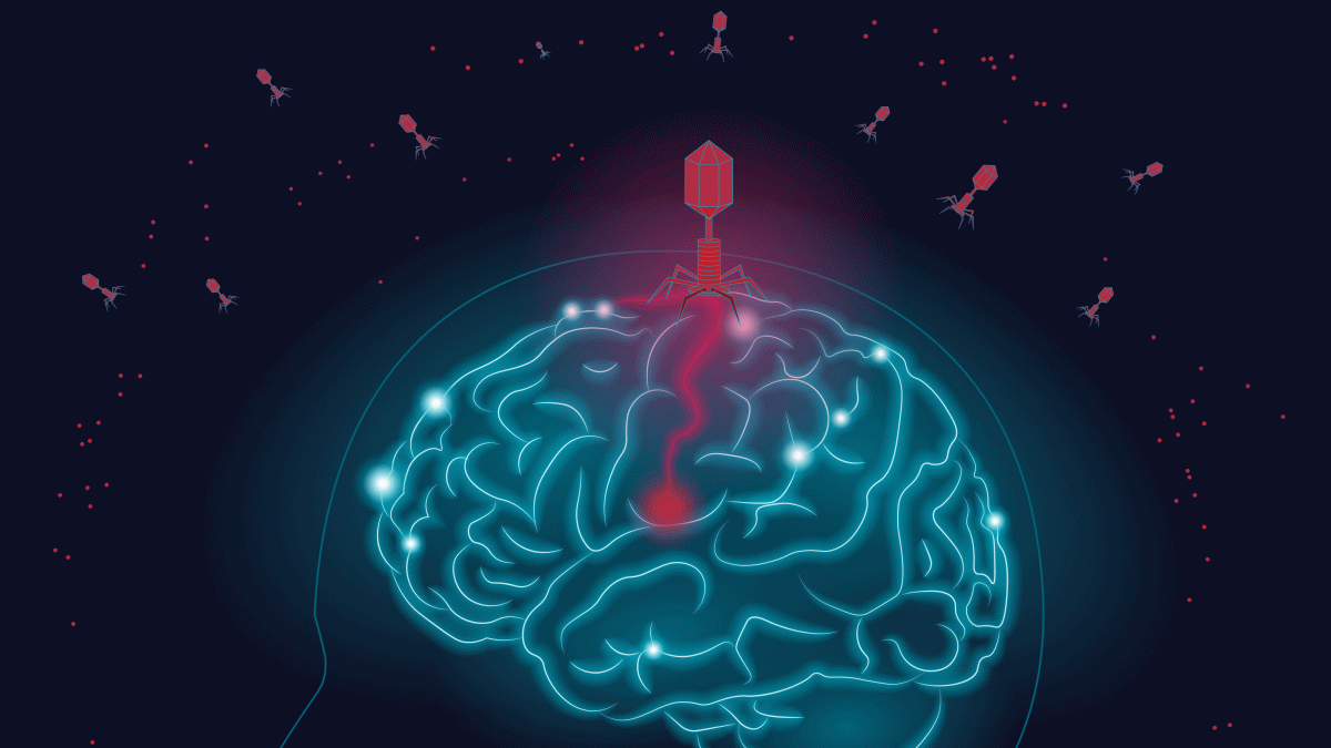 Symbol of Memory Loss Due To Dementia, Alzheimer. Illustration of a Human  Head with a Brain Made of Withered Falling Stock Illustration -  Illustration of month, brain: 275355485