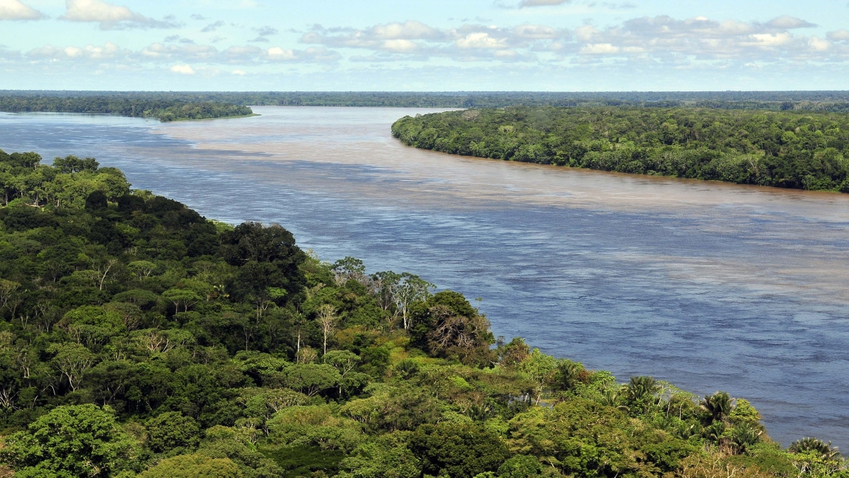 View of the Amazon rainforest and river