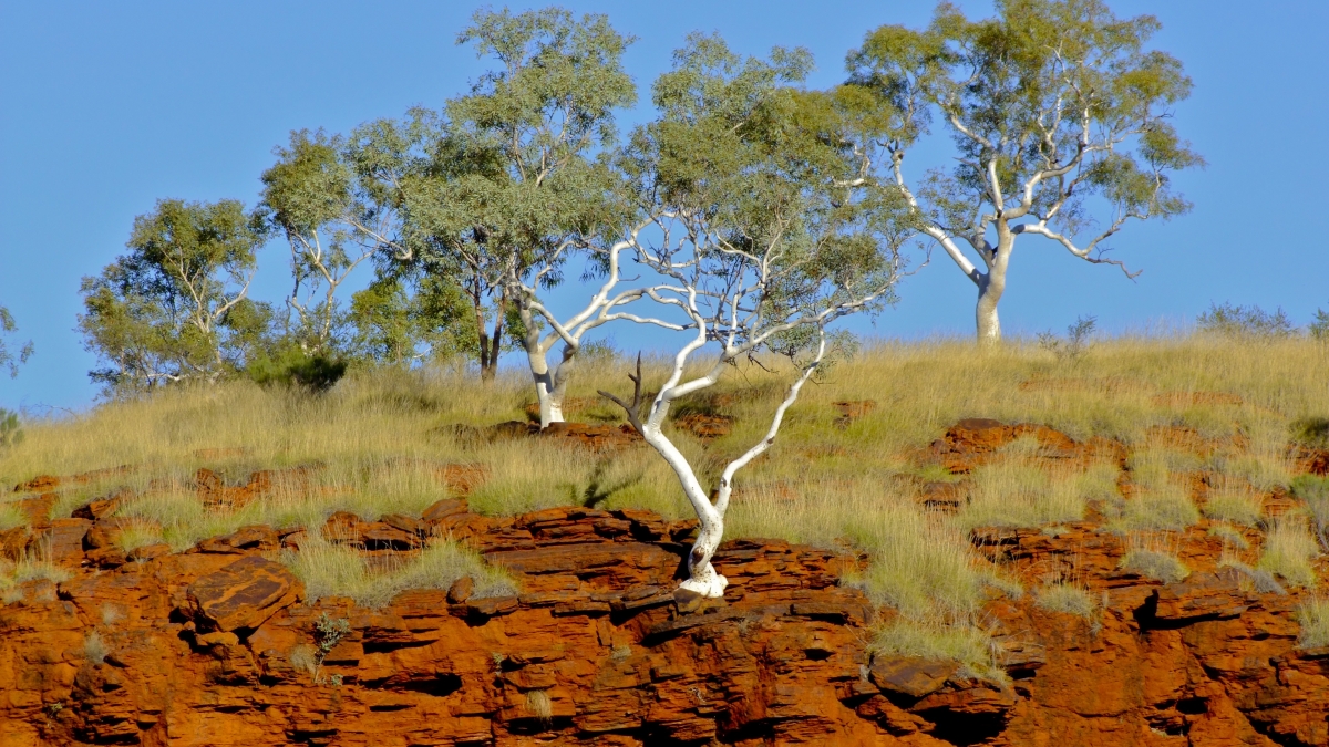 hills of Western Australia