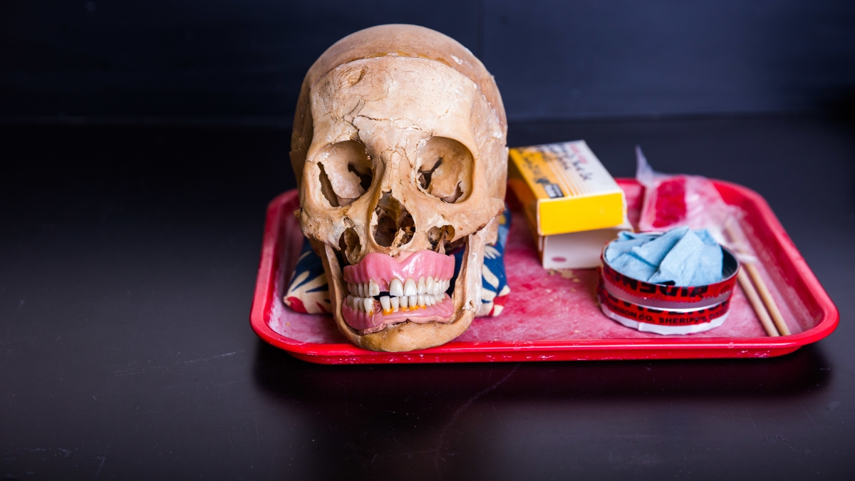 skull and forensic equipment on a tray