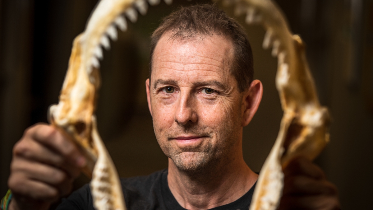 headshot of ASU Professor James Sulikowski framed by a shark jaw