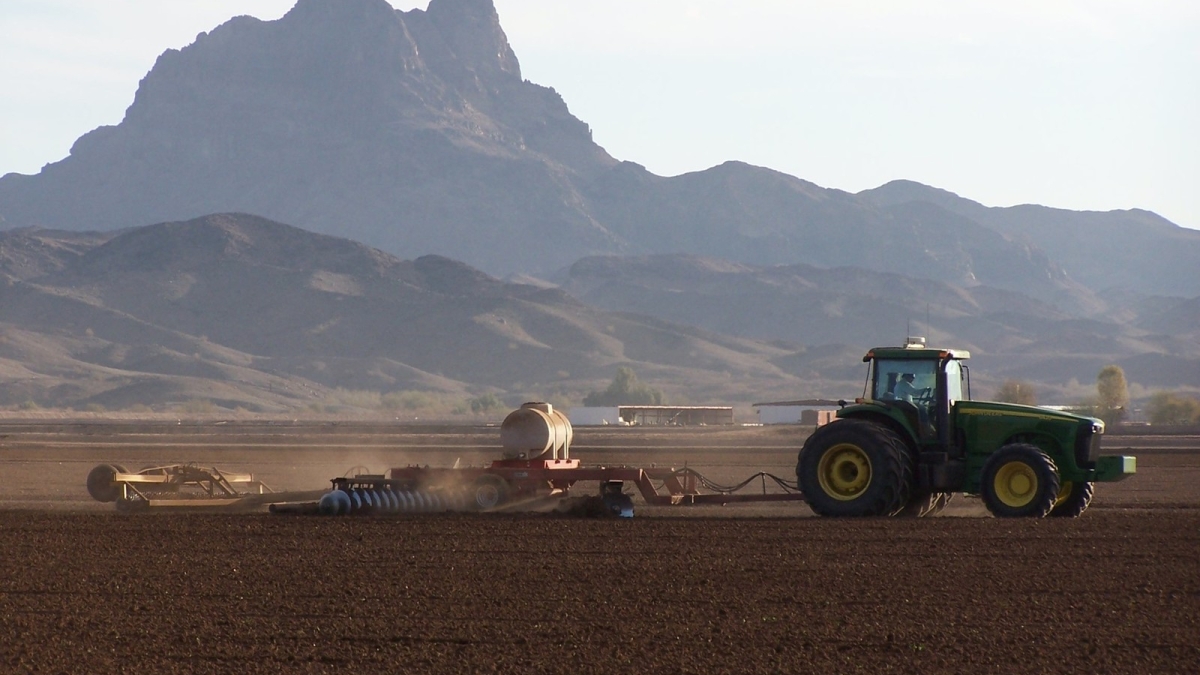 Desert farms