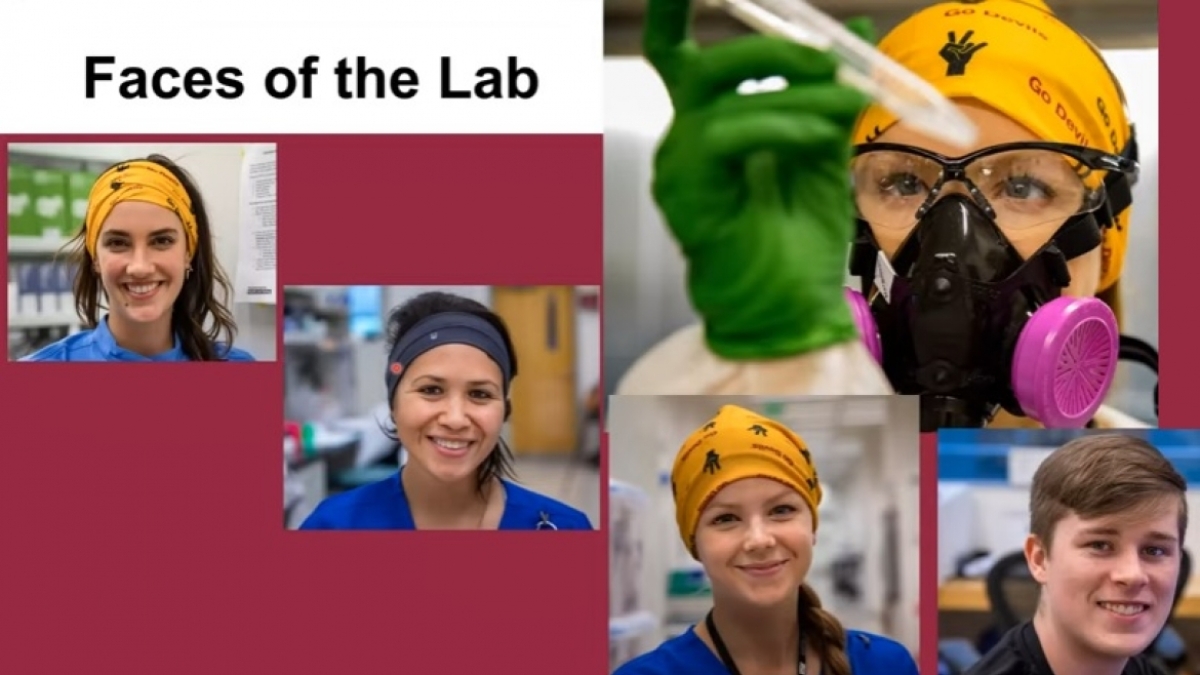 screenshots of people working in labs