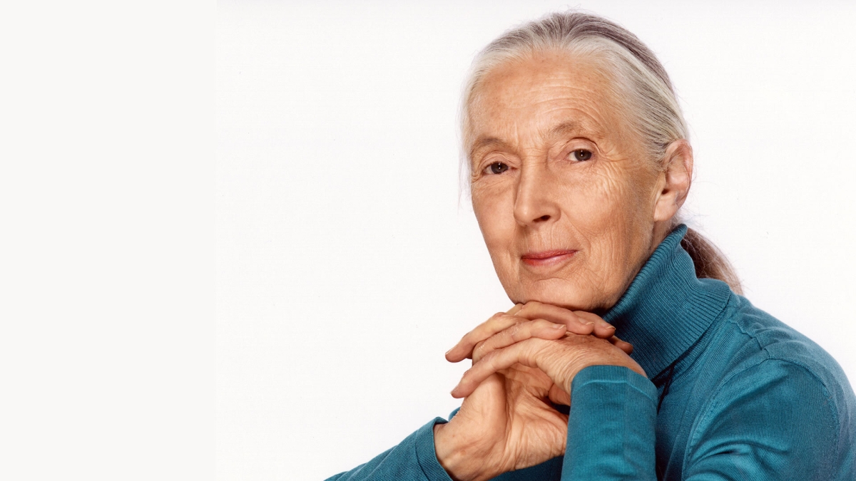 portrait of primatologist Jane Goodall