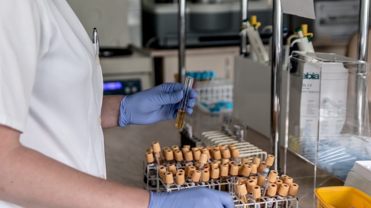 person holding test tubes in a lab