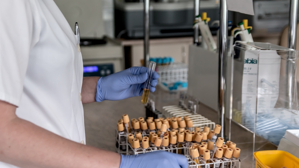 person holding test tubes in a lab