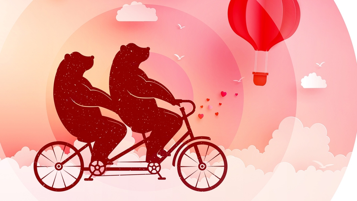 two bears riding a tandem bicycle