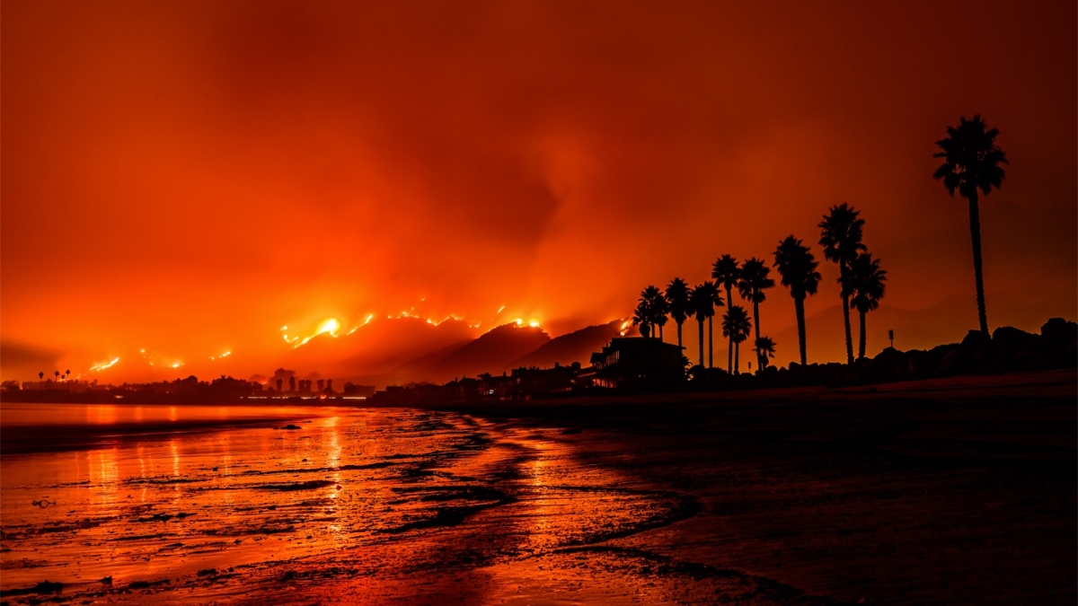 Shoreline and palm trees silhouetted by wildfires and smoke in the background.