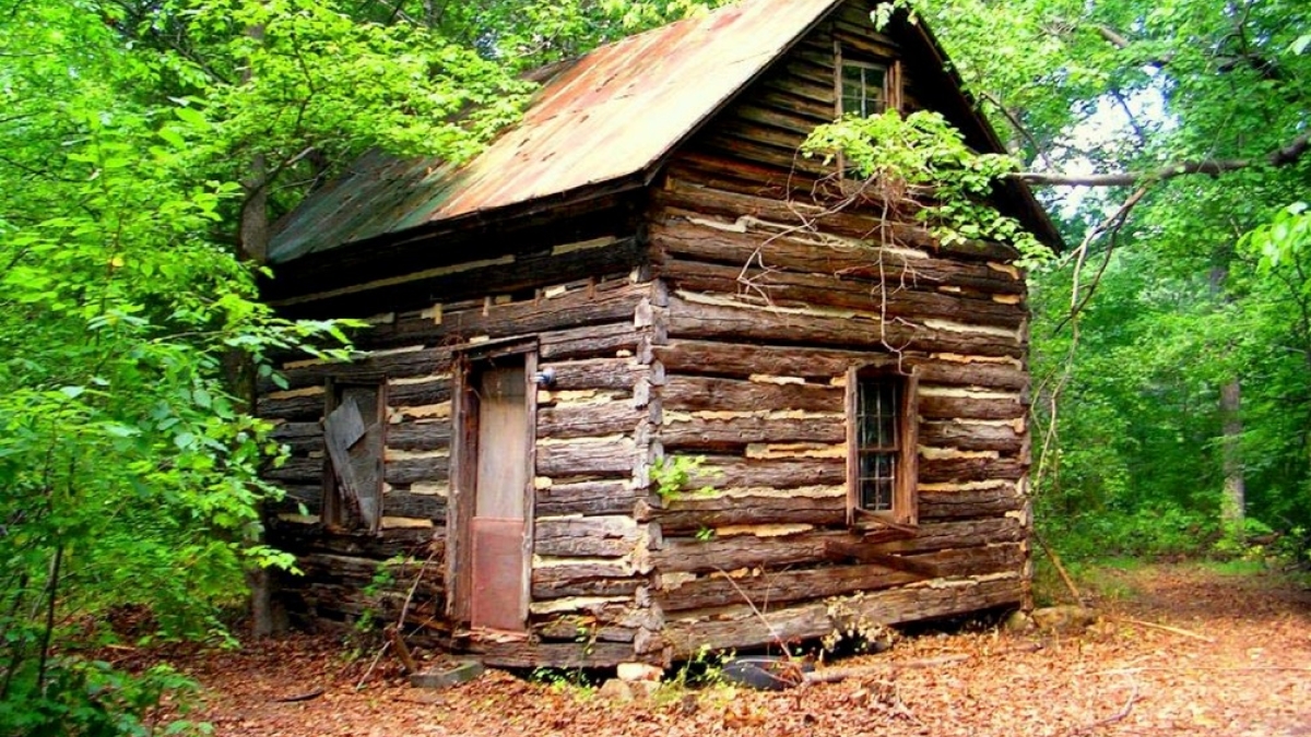 A log cabin in the woods