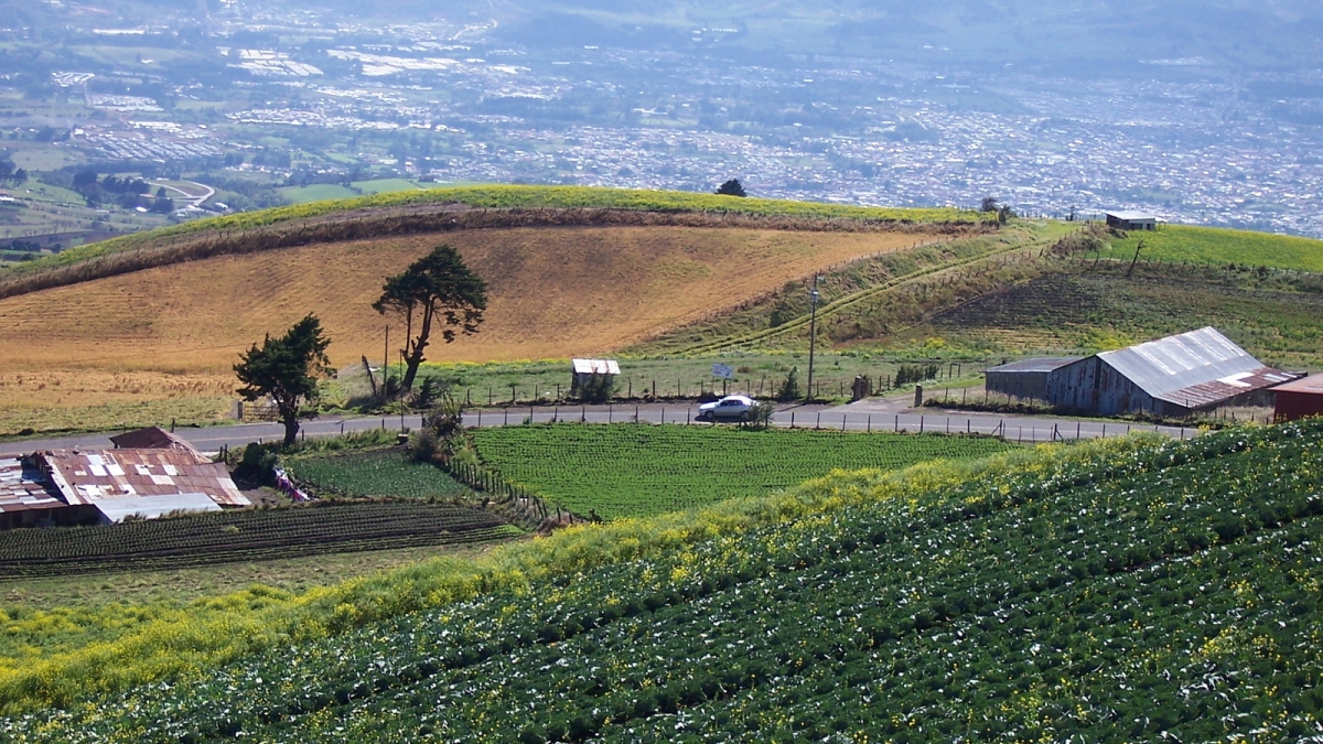 Farming field in Costa Rica