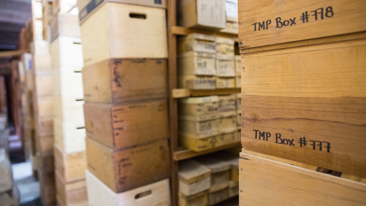 Stacks of boxes in the storeroom of the Teotihuacan Research Laboratory