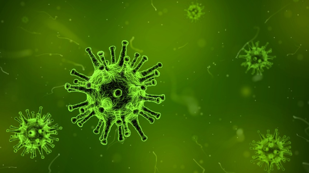 Closeup of virus