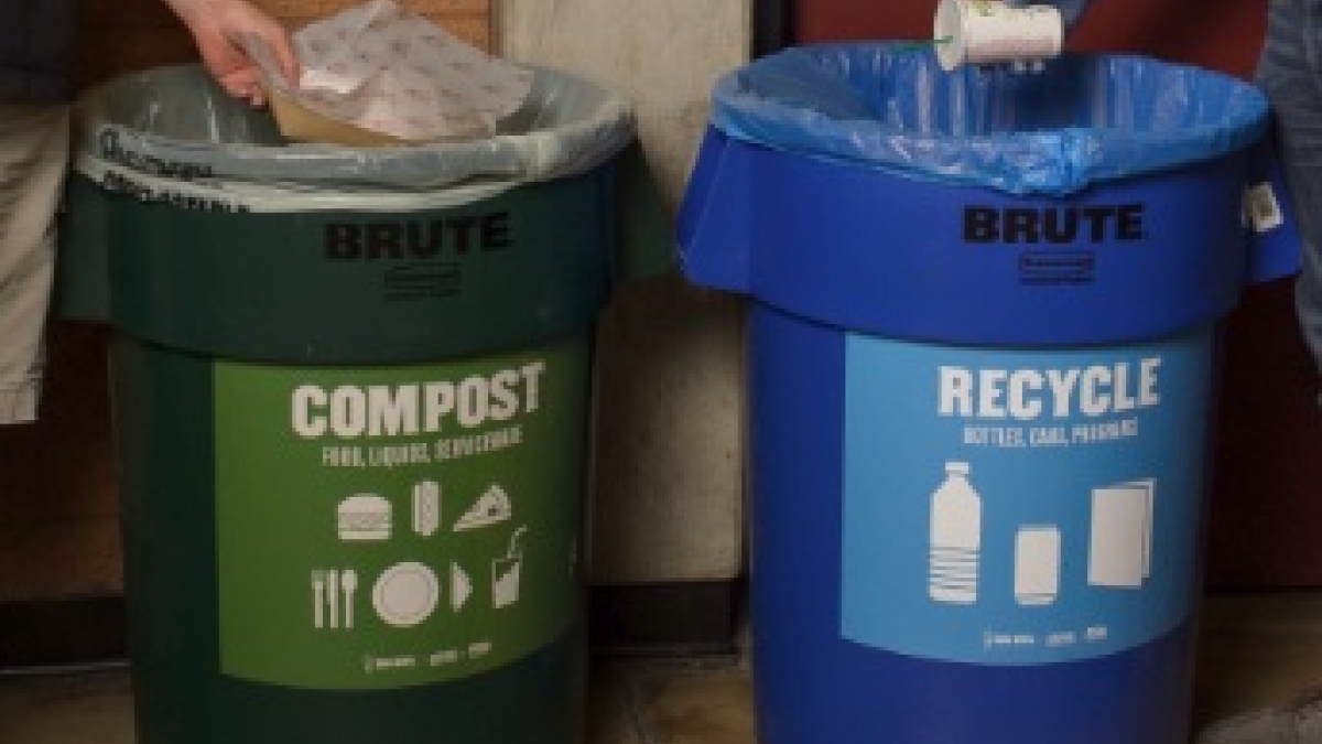 compost and recycle bins