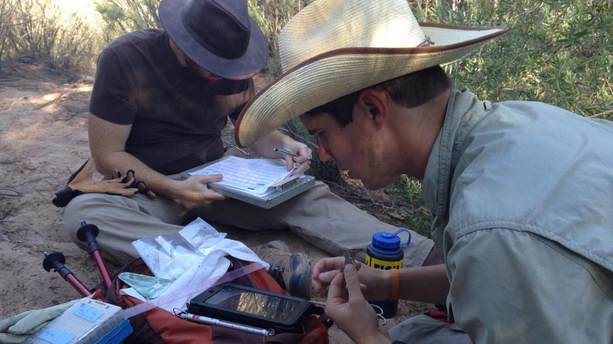 researchers using mobile app in the field