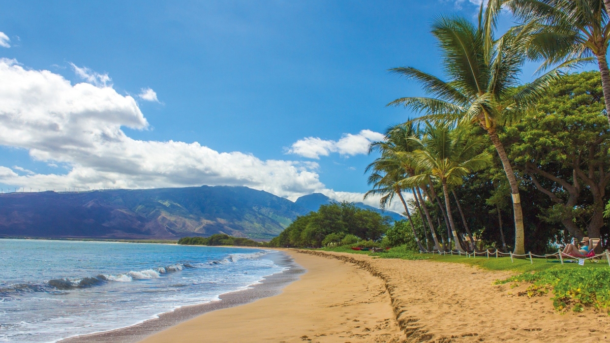 Hawaiian beach scene