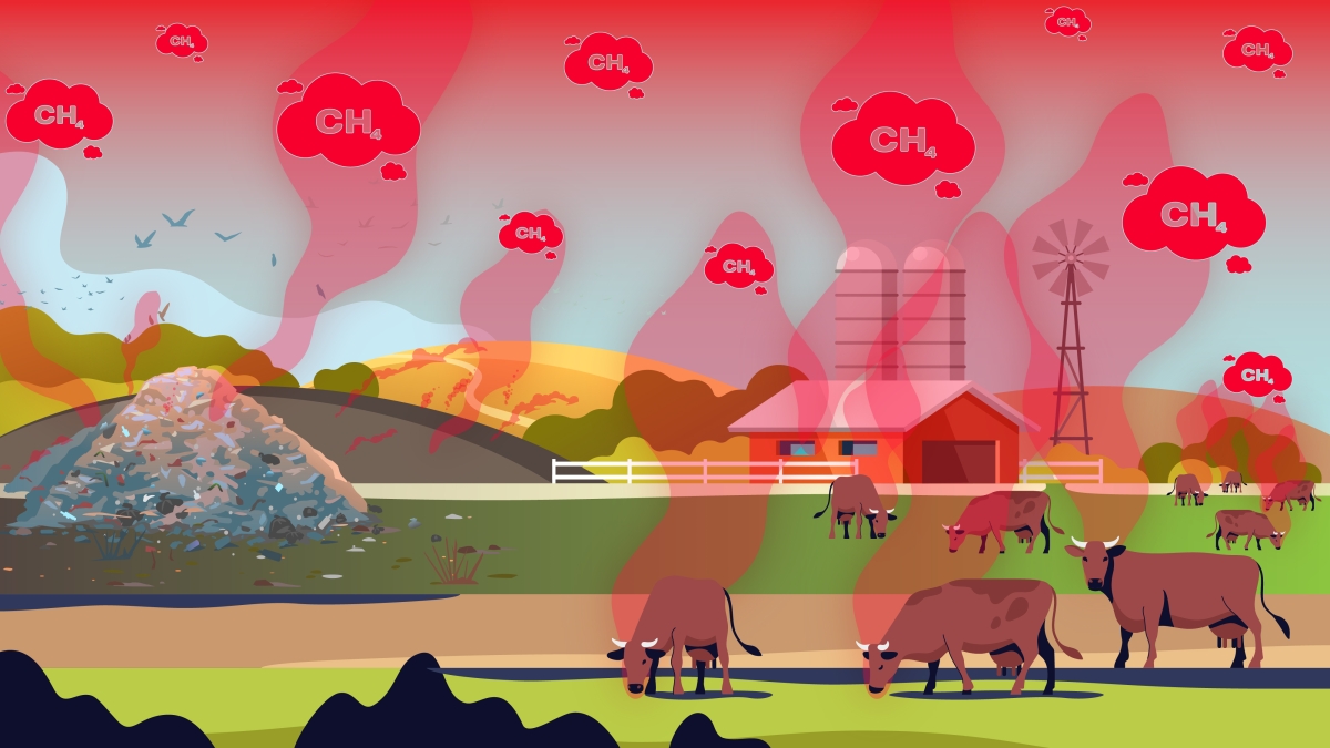 Graphic illustration showing farmland with methane emissions being dispersed into the air.