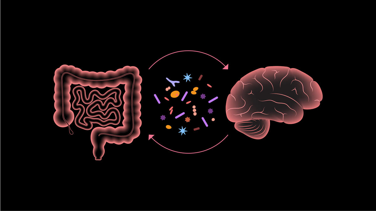Illustration of gut and brain communicating