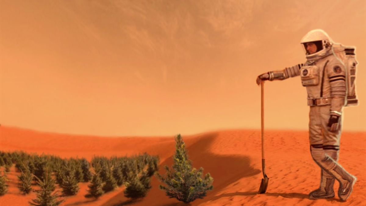  Mars Intergallactic farmer