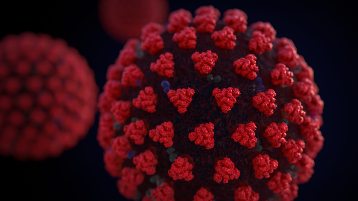 A microscopic image of the novel coronavirus