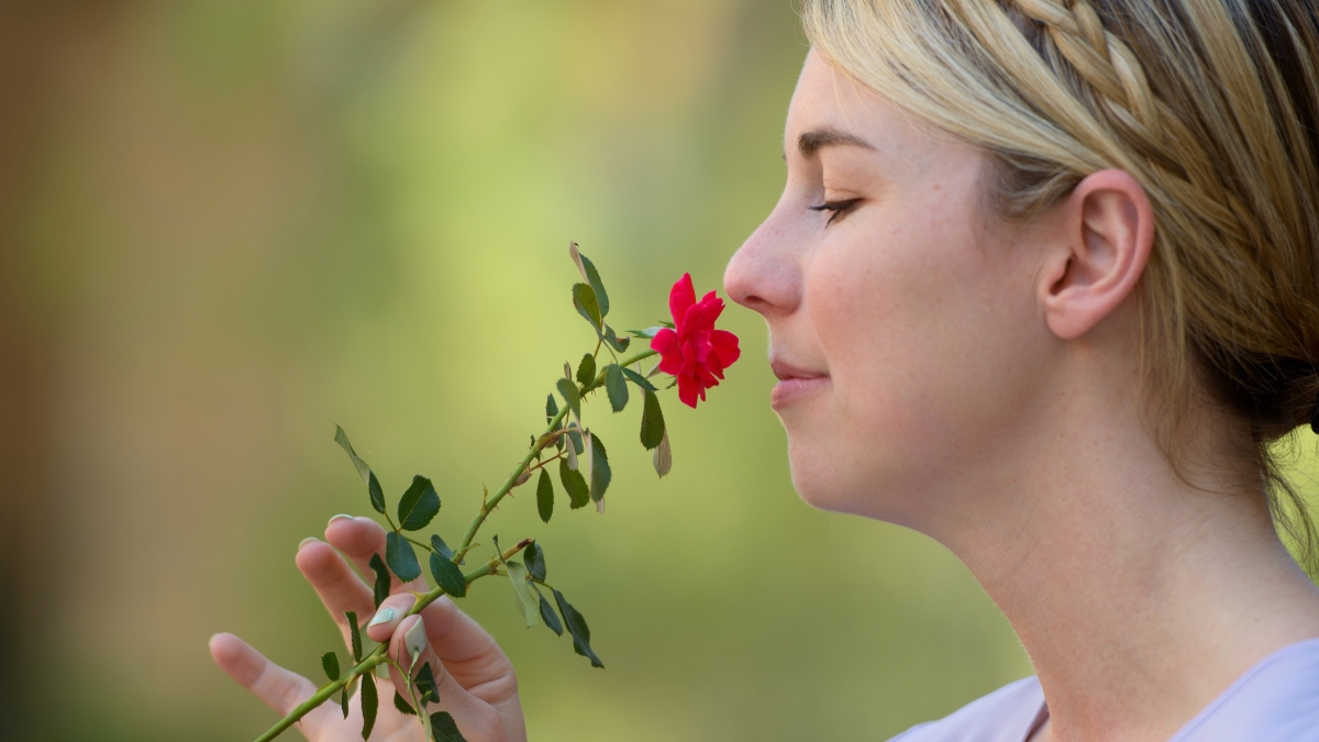How many smells can humans distinguish?