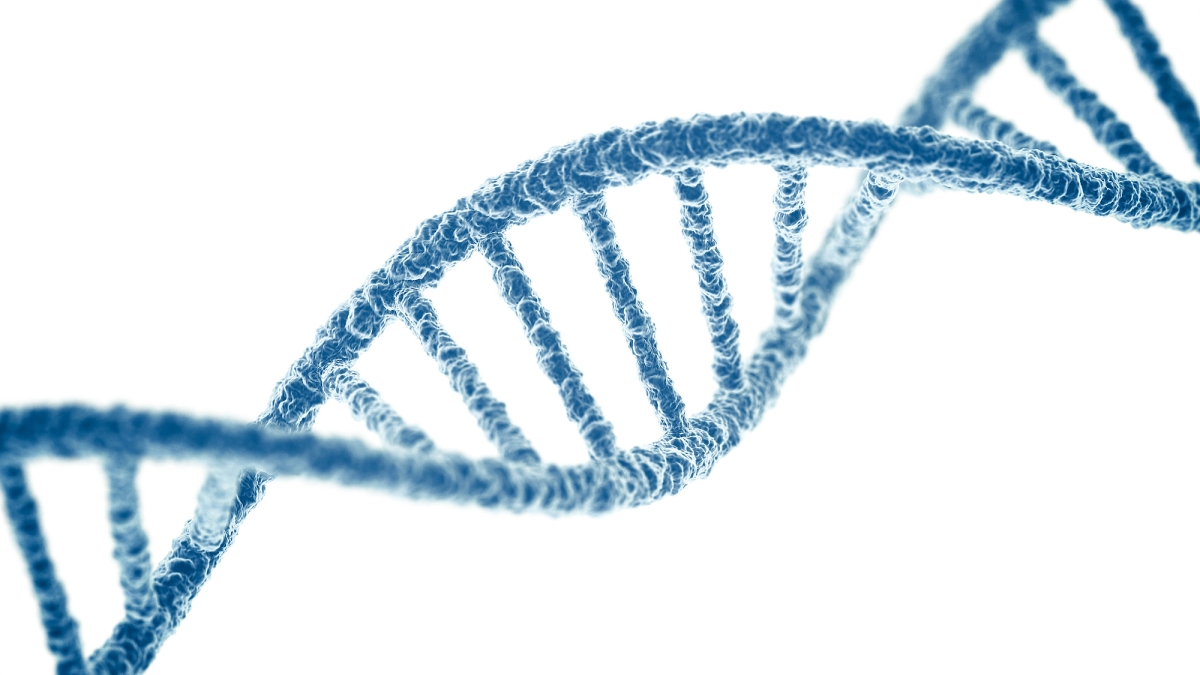 Illustration of a DNA double helix