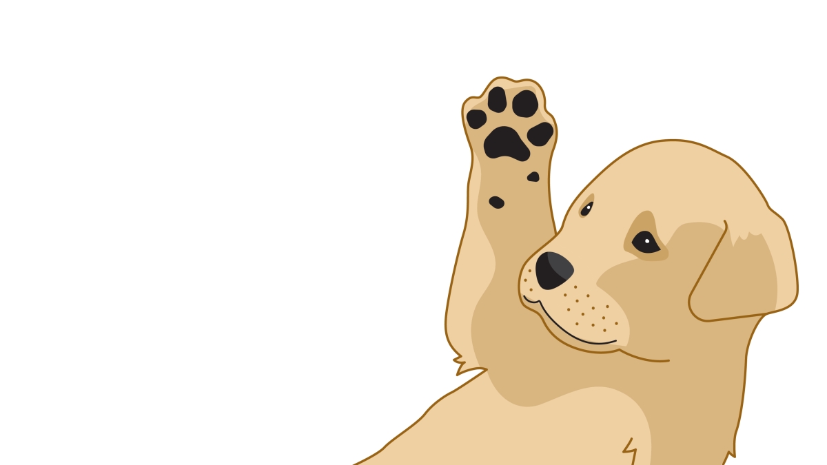puppy paw illustration