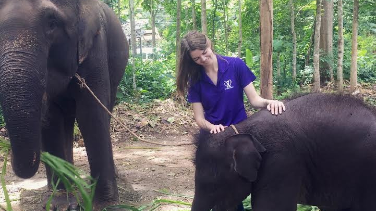 Erin Schulte petting an elephant in thailand