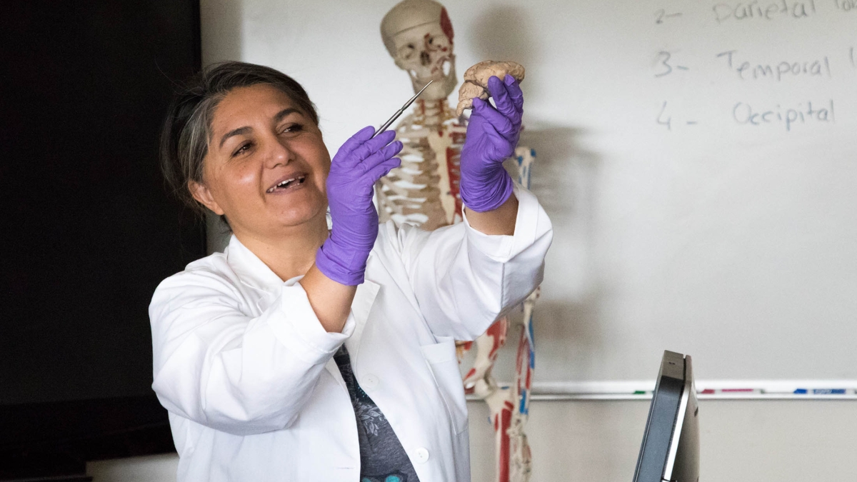 ASU Polytechnic campus faculty member Emel Topal pointing out a brain structure with model human skeleton in backdrop