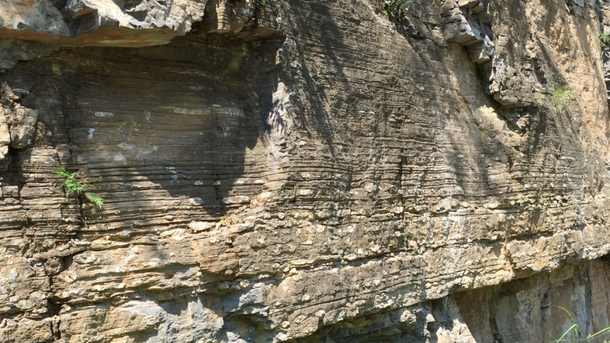 Terminal Ediacaran carbonate rocks in Three Gorges area (Hubei Province), People’s Republic of China