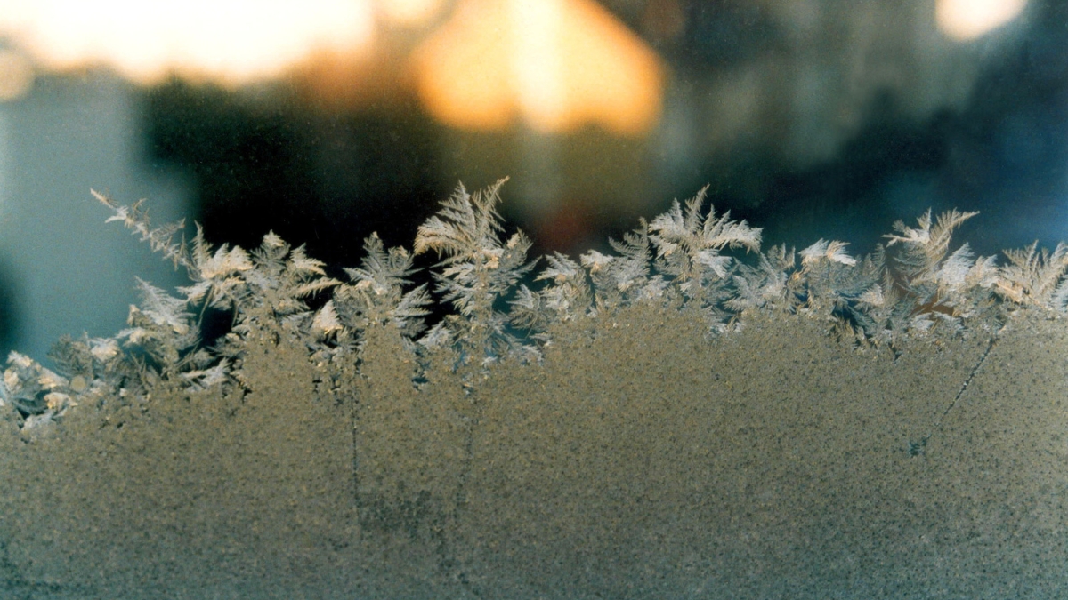 Frost rises up a window.