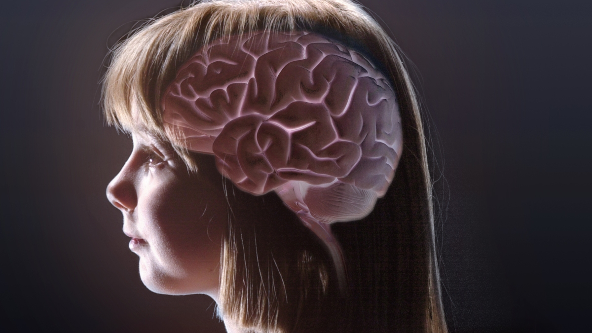 rendering of brain inside a girl