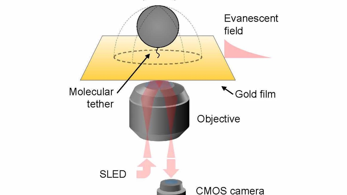 graphic showing the basic experimental setup for Surface Plasmon Resonance Microscopy (SPRM)