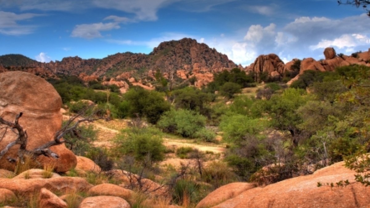 A desert canyon with green shrubs under a bright, cloudy sky