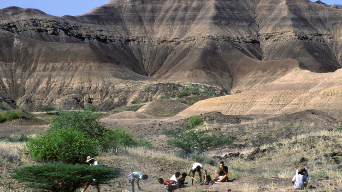 William Kimbel, Neil Shubin and Donald Johanson in Hadar, Ethiopia