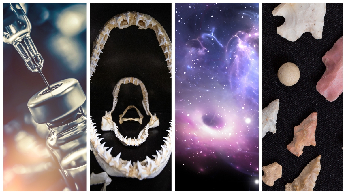 Collage of photos featuring a syringe, shark teeth, a space image and stone tools