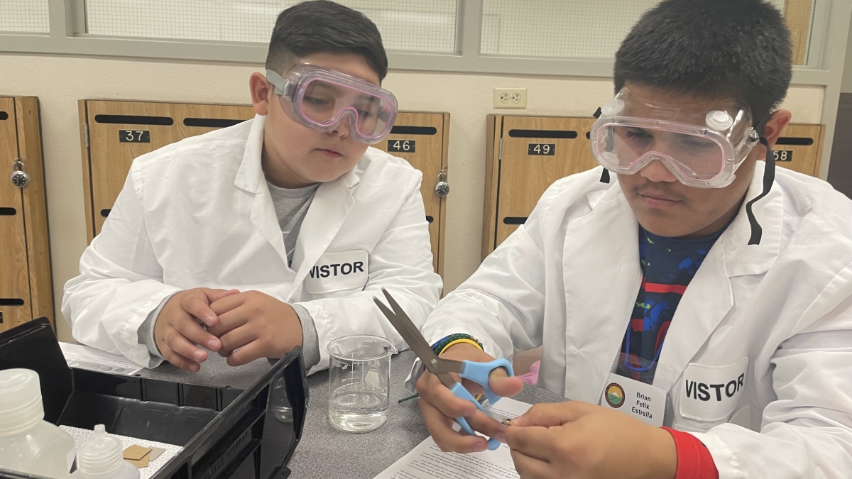 Students working on laboratory activity at the ASU School of Molecular Sciences.