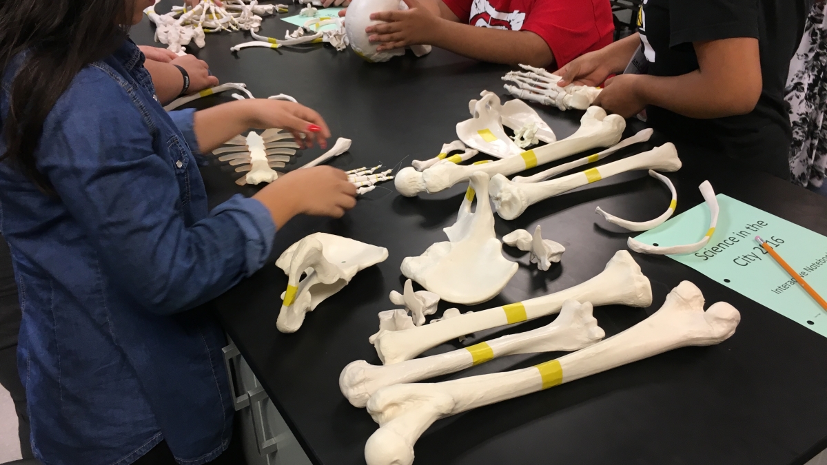 Eighth graders from PUHSD enjoy Science in the City activities at ASU's Downtown Phoenix campus