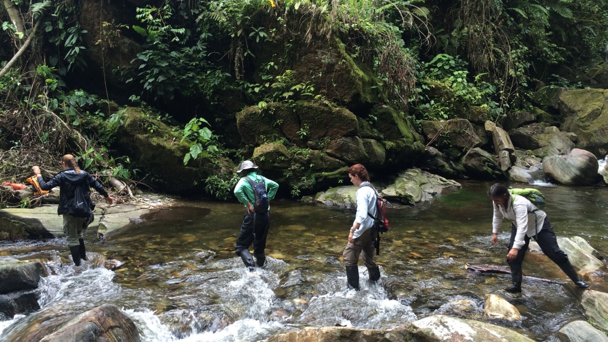 photo of team hiking across jungle river