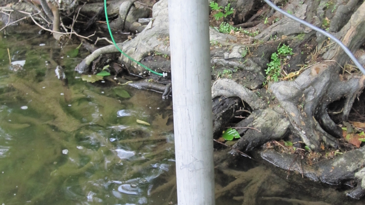 An in situ water contaminate sampling device in use, looks like a metal tube in a river.