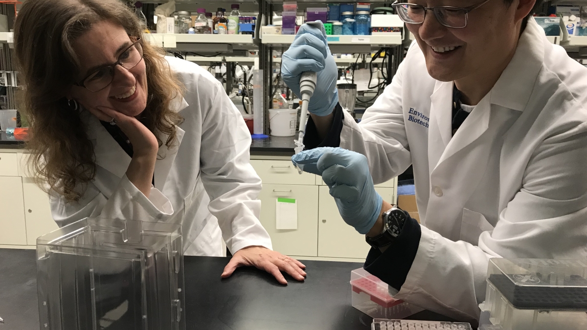 Rosa Krajmalnik-Brown and Dae-Wook Kang work in a lab