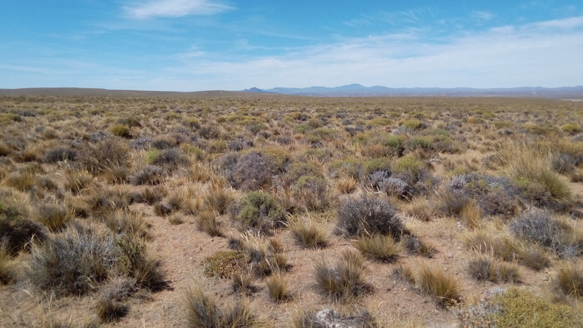 View of a drylands landscape.