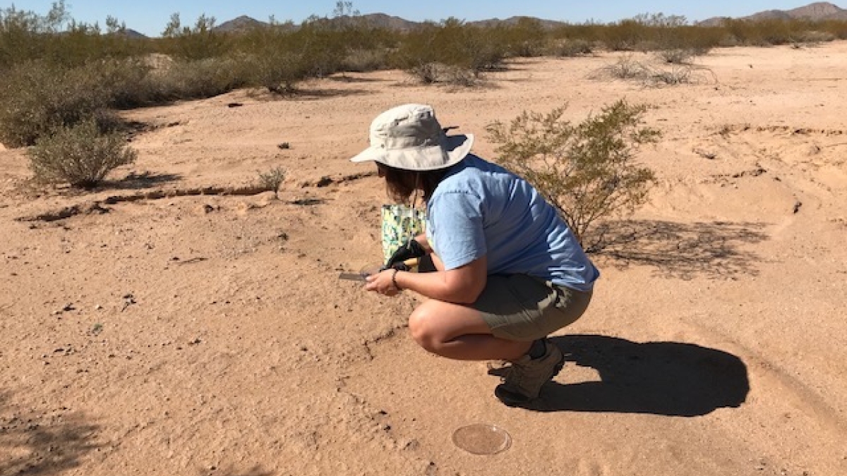 ASU PhD graduate Julie Bethany Rakes looking for signs of Cyanoraptor in the soil
