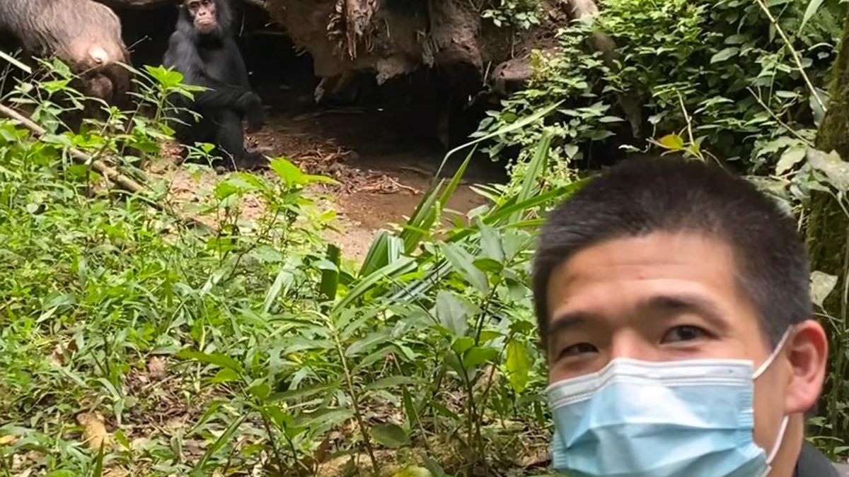 Man taking a selfie in a forest with a chimpanzee in the background.