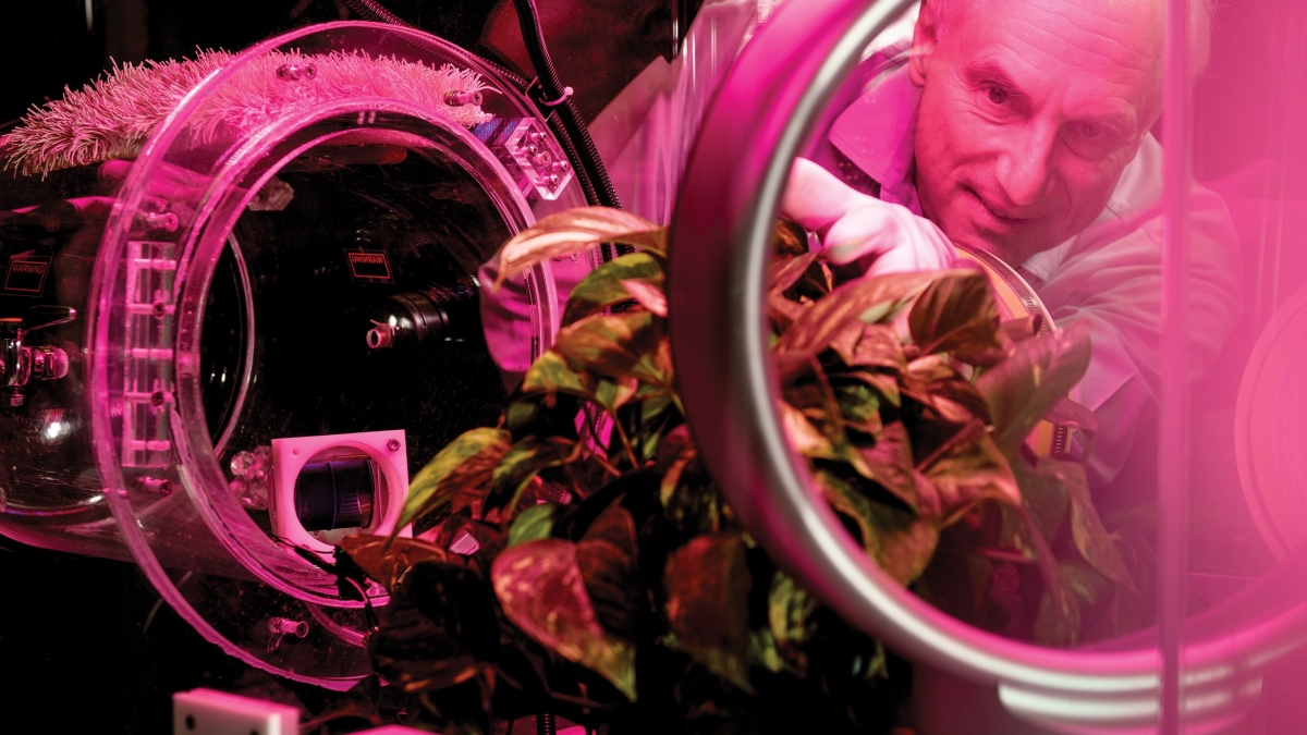 Klaus Lackner examines a greenhouse in his lab