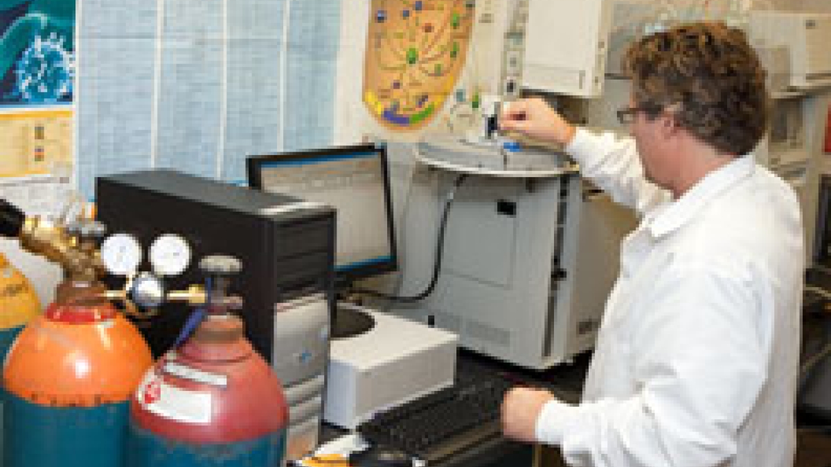 Researcher reviewing samples in a lab