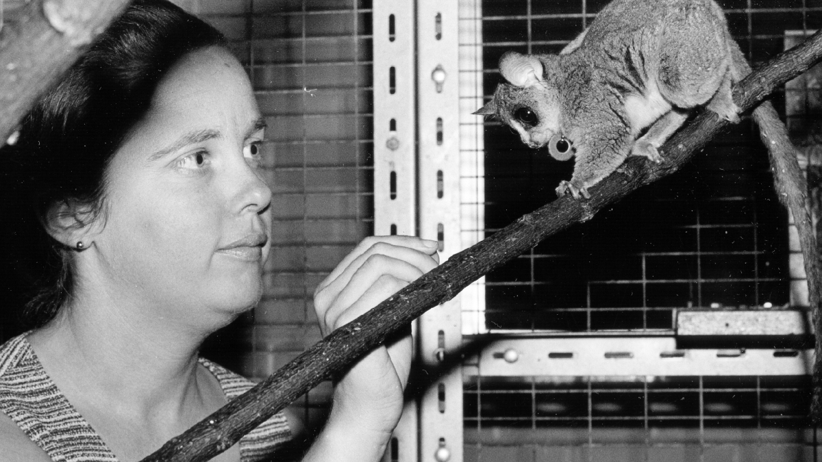 Leanne Nash and a galago.