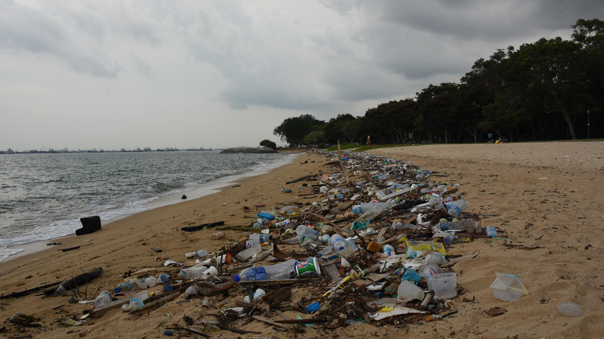 plastic on beach